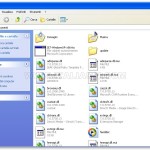 IE7 - Contenuto dell'Installer